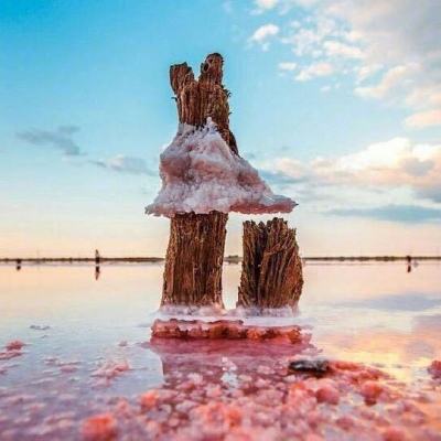 开云APP官方下载